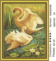 HWA 4446 Под заказ Опт HWA 4446 Под заказ Опт