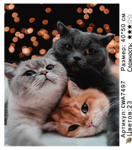 CWA7497 Под заказ CWA7497 Под заказ