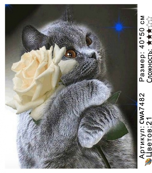 CWA7482 Под заказ CWA7482 Под заказ