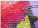 QA 200348