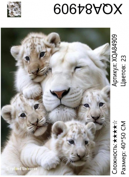 XQA84909 Мозаика 40*50 круг.стразы Под заказ XQA84909 Мозаика 40*50 круг.стразы Под заказ