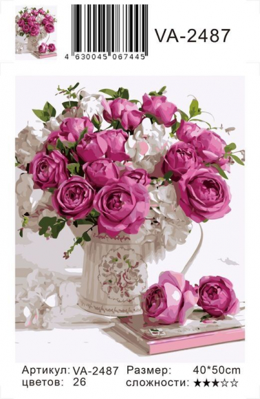 VA2487 Без подрамника картина по номерам 40*50 