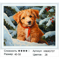HWA 5737 в наличии