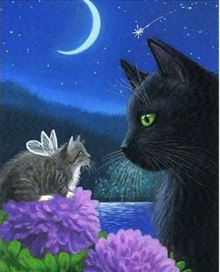 Ангельский котёнок