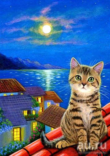 Котёнок на крыше