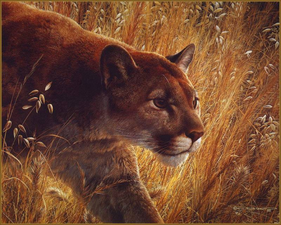 Крадущаяся кошка
