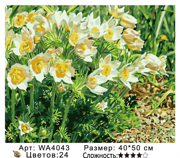 WA 4043