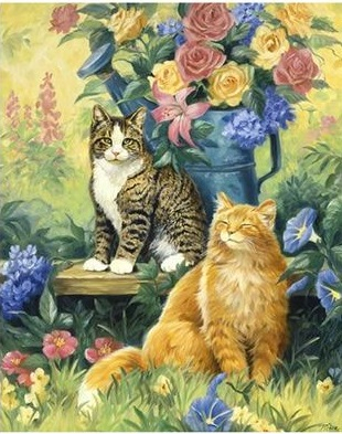 Кошки