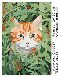 CN0037 Картины по номерам 20*30 цвет.холст Под заказ CN0037 Картины по номерам 20*30 цвет.холст Под заказ
