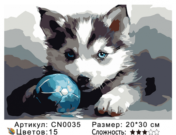 CN0035 Картины по номерам 20*30 цвет.холст Под заказ CN0035 Картины по номерам 20*30 цвет.холст Под заказ