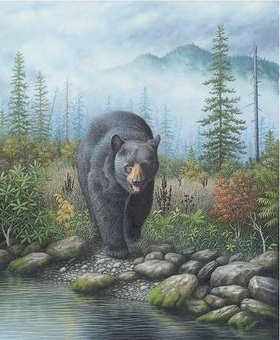 Медведь