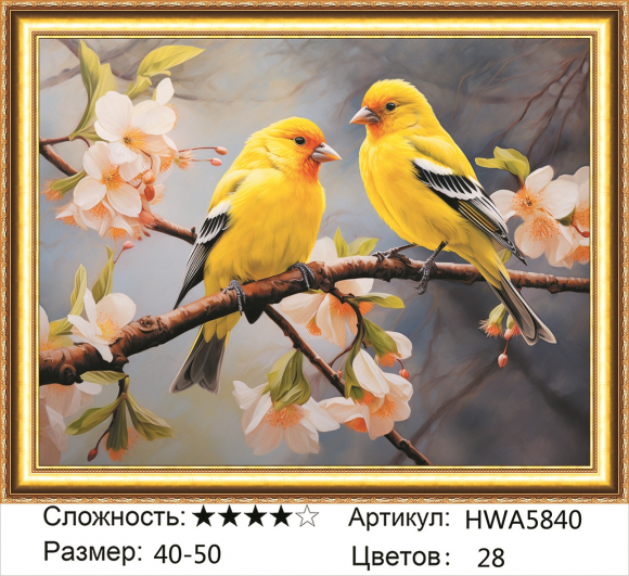 HWA 5840 Под заказ Опт 