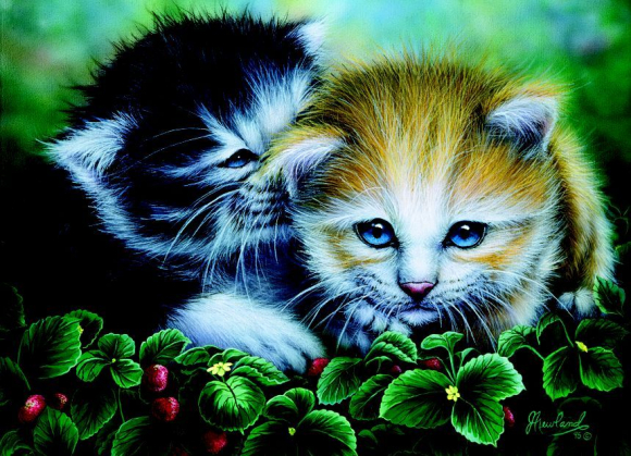 Кошачья дружба