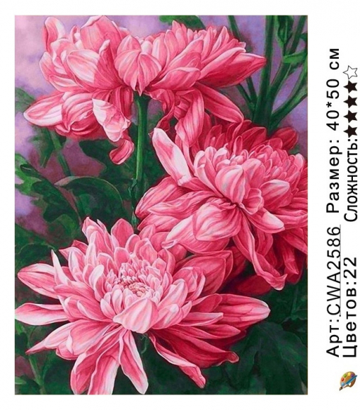 CWA2586