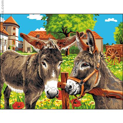 GX 24086 Два ослика